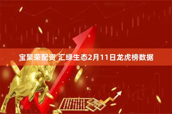 宝聚荣配资 汇绿生态2月11日龙虎榜数据