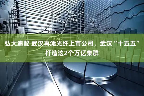 弘大速配 武汉再添光纤上市公司，武汉“十五五”打造这2个万亿集群