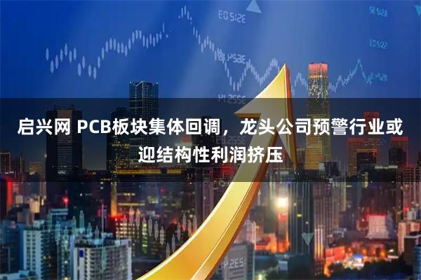 启兴网 PCB板块集体回调，龙头公司预警行业或迎结构性利润挤压